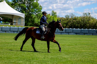 10730 - Shea - 2026 June Classic II - Friday June 19th