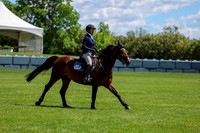 10731 - Shea - 2026 June Classic II - Friday June 19th