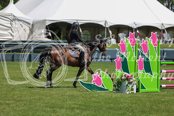 10272 - Shea - 2026 June Classic II - Friday June 19th