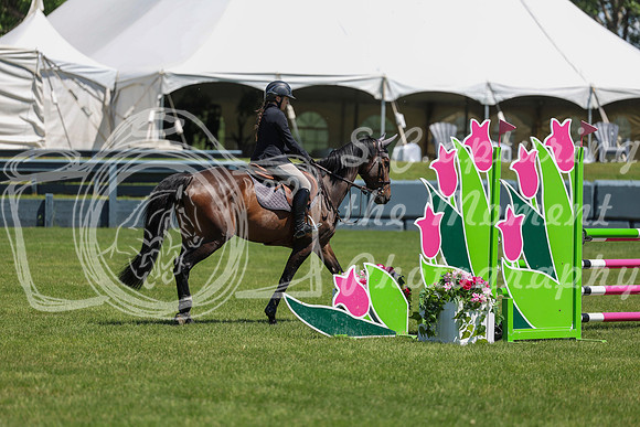 10273 - Shea - 2026 June Classic II - Friday June 19th