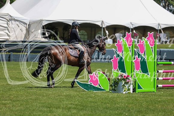 10274 - Shea - 2026 June Classic II - Friday June 19th