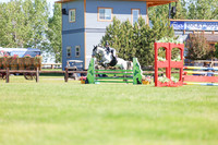 02973 - Shea - 2026 June Classic II - Friday June 19th