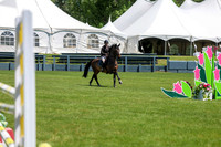 10216 - Shea - 2026 June Classic II - Friday June 19th