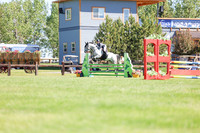02974 - Shea - 2026 June Classic II - Friday June 19th