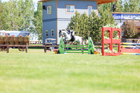 02975 - Shea - 2026 June Classic II - Friday June 19th