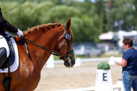 2025 - Dressage Festival - Saturday July 5th - 09317