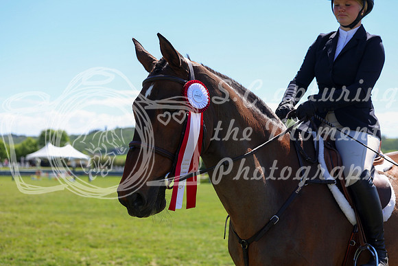 07431 - Shea - 2026 June Classic II - Saturday June 20th