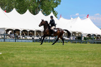 08189 - Shea - 2026 June Classic II - Saturday June 20th