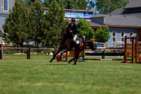 08199 - Shea - 2026 June Classic II - Saturday June 20th