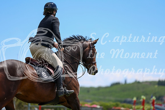 08231 - Shea - 2026 June Classic II - Saturday June 20th