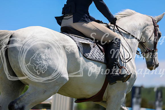 07850 - Shea - 2026 June Classic II - Saturday June 20th