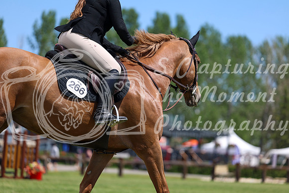 08660 - Shea - 2026 June Classic II - Saturday June 20th