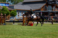08341 - Shea - 2026 June Classic II - Saturday June 20th
