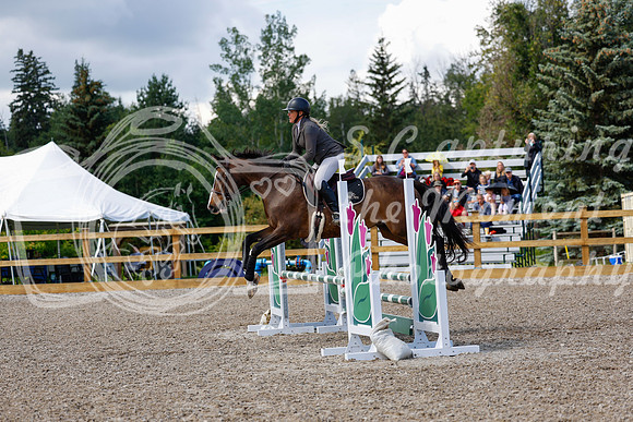 2025 - Haylee - Picco Horse Show - Sunday July 27th 02947