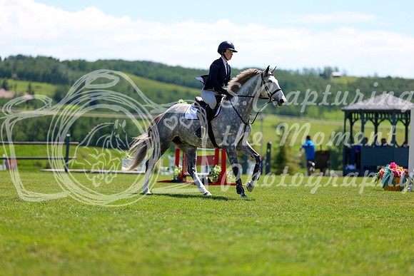 07450 - Shea - 2026 June Classic II - Saturday June 20th
