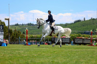 08016 - Shea - 2026 June Classic II - Saturday June 20th