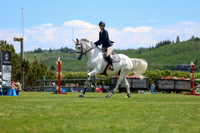 08017 - Shea - 2026 June Classic II - Saturday June 20th