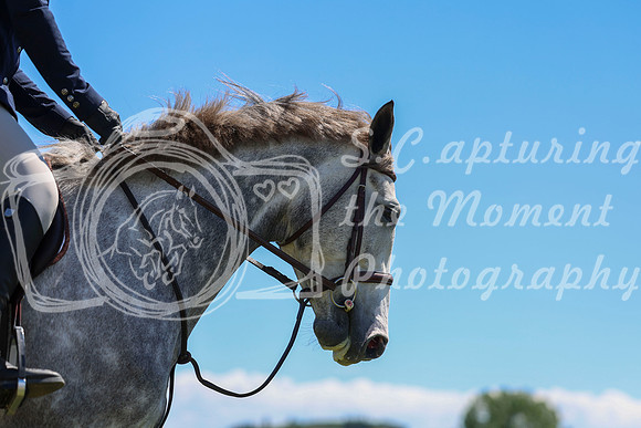07529 - Shea - 2026 June Classic II - Saturday June 20th