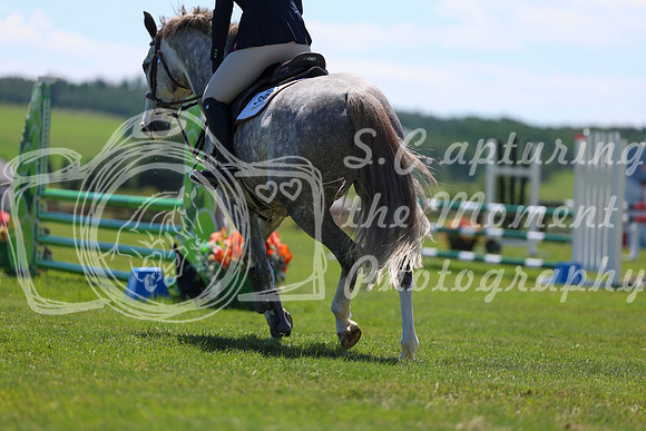 07535 - Shea - 2026 June Classic II - Saturday June 20th