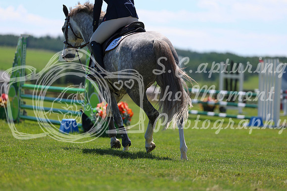07536 - Shea - 2026 June Classic II - Saturday June 20th