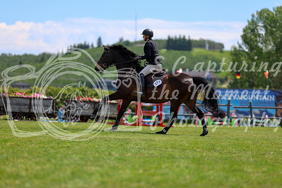08100 - Shea - 2026 June Classic II - Saturday June 20th