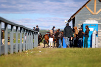 00294 - Mara - 2026 June Classic II - Sunday June 21st