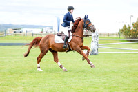 15474 - Shea - 2026 June Classic II - Sunday June 21st