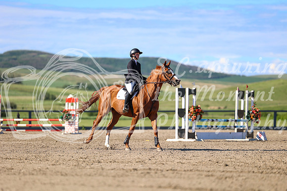 02784 - Mara - 2026 June Classic II - Sunday June 21st