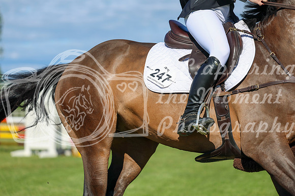 01716 - Shea - 2026 June Classic II - Sunday June 21st