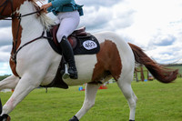 05350 - Shea - 2026 June Classic II - Sunday June 21st