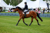 17357 - Shea - 2026 June Classic II - Saturday June 20th