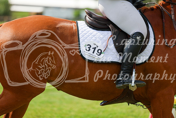 15641 - Shea - 2026 June Classic II - Saturday June 20th