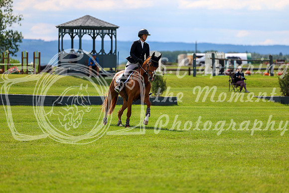 15645 - Shea - 2026 June Classic II - Saturday June 20th