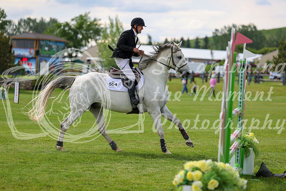 16687 - Shea - 2026 June Classic II - Saturday June 20th