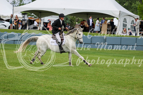 16764 - Shea - 2026 June Classic II - Saturday June 20th