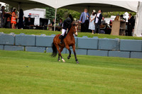 16889 - Shea - 2026 June Classic II - Saturday June 20th
