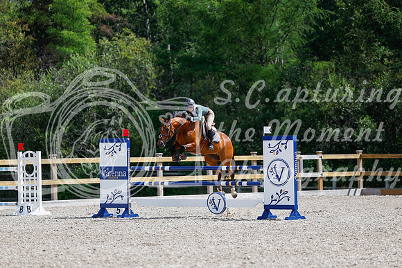 2025 - Haylee - Picco Horse Show - Thursday July 24th 04371
