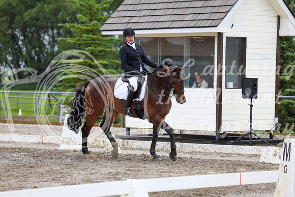 2025 - Dressage Festival - Sunday July 6th - 08766