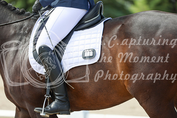2025 - Dressage Festival - Saturday July 5th - 07480