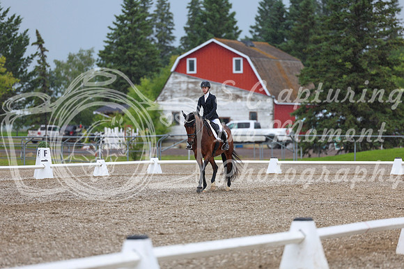 03534 - 2026 Dressage Festival - Sunday July 5th