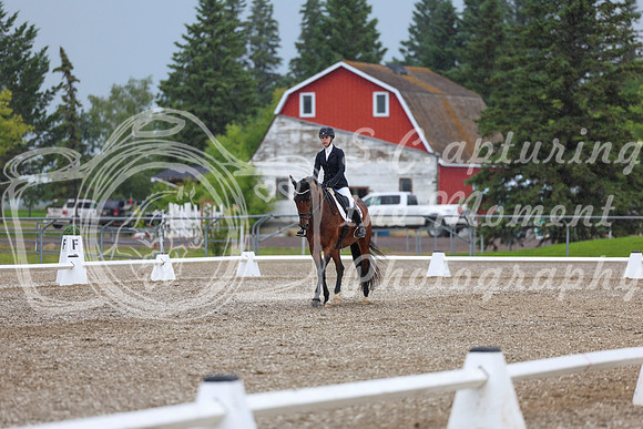 03535 - 2026 Dressage Festival - Sunday July 5th