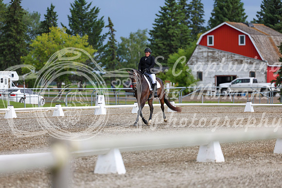 03360 - 2026 Dressage Festival - Sunday July 5th