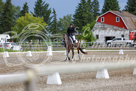 03361 - 2026 Dressage Festival - Sunday July 5th