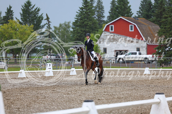 03539 - 2026 Dressage Festival - Sunday July 5th
