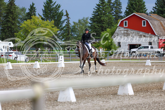 03362 - 2026 Dressage Festival - Sunday July 5th