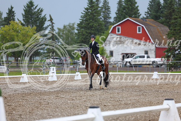 03540 - 2026 Dressage Festival - Sunday July 5th