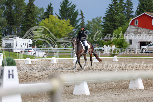 03365 - 2026 Dressage Festival - Sunday July 5th