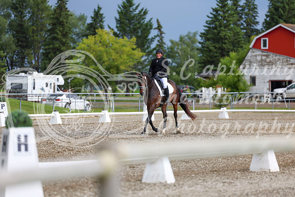 03366 - 2026 Dressage Festival - Sunday July 5th