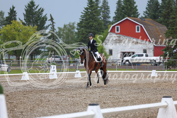 03542 - 2026 Dressage Festival - Sunday July 5th