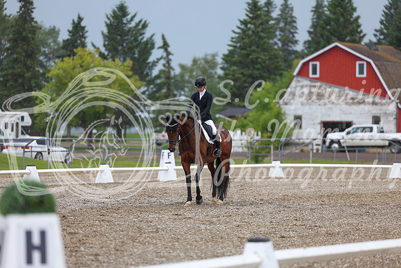 03544 - 2026 Dressage Festival - Sunday July 5th